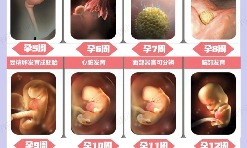 西米替丁哺乳期妇女可以吃吗-哺乳期可以吃西替利秦吗,中国哺乳期能吃西米替丁吗网站
